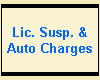 Lic. Susp. &
Auto Charges