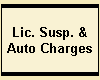 Lic. Susp. &
Auto Charges